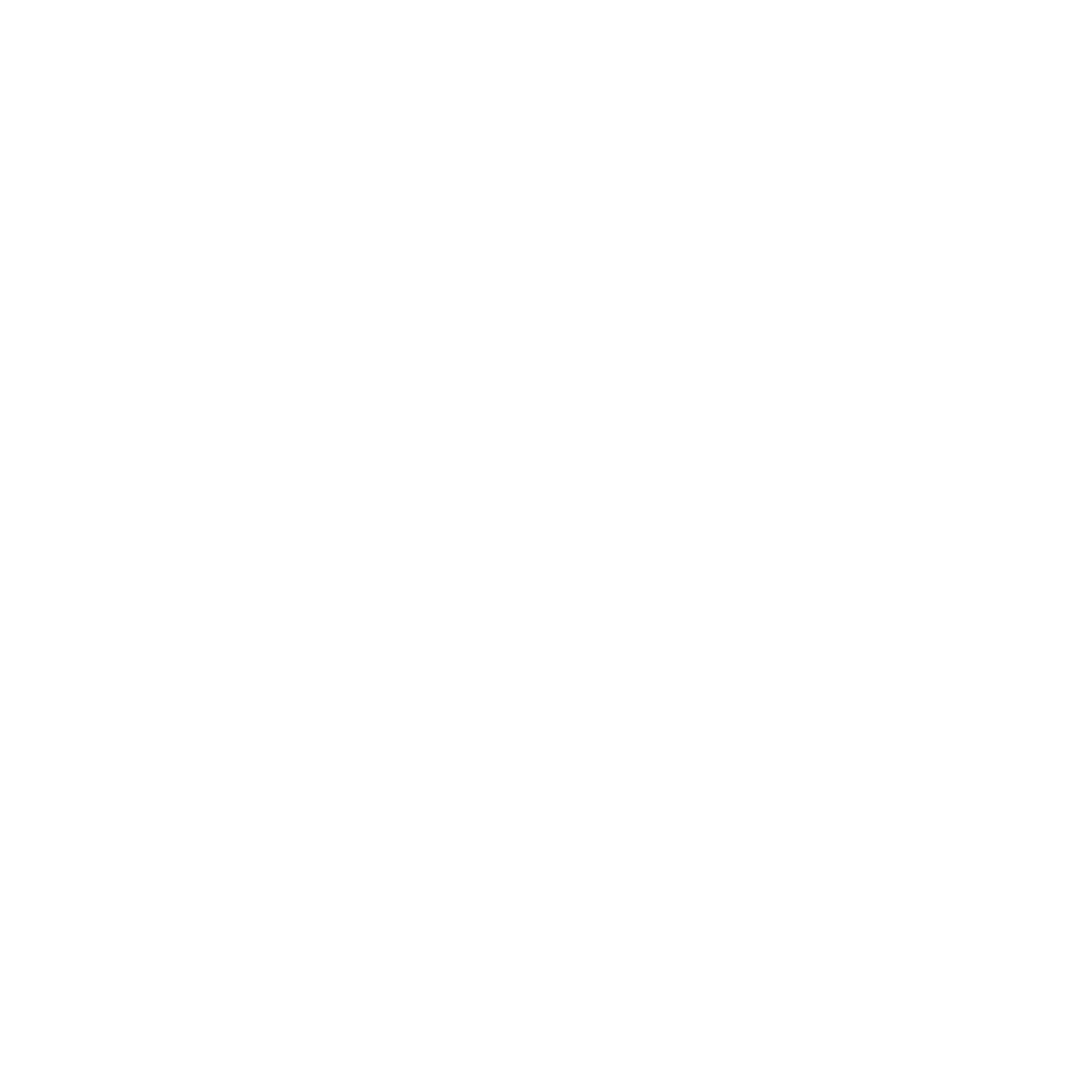 logo light